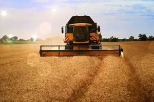 Удержит ли Россия мировое лидерство по экспорту пшеницы?