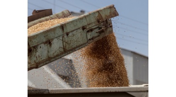 Экспорт зерна в мае составил 1,2 млн тонн