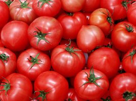 Россельхознадзор начнет проверять ввозимые томаты на новый тобамовирус