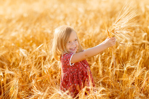 В России вывели полезную для умственных способностей пшеницу