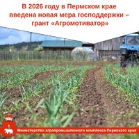 В 2026 году в Пермском крае введена новая мера господдержки – грант «Агромотиватор»